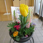 お花をいただきました